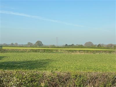 Picture 23